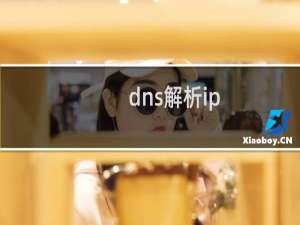dns解析ip
