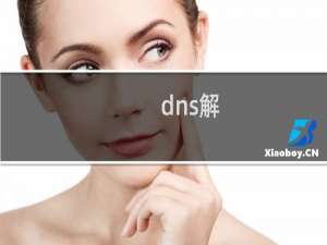 dns解