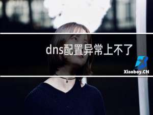 dns配置异常上不了网怎么办（dns地址）