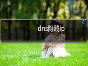 dns隐藏ip