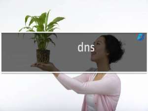 dns