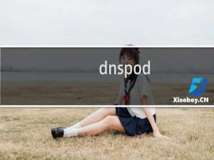 dnspod