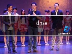 dnsv.cn dnsu.cn jv.gs haoname.