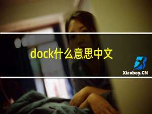dock什么意思中文翻译（dock什么意思）