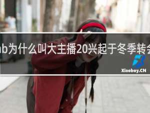 doinb为什么叫大主播 兴起于冬季转会期什么梗