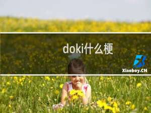 doki什么梗