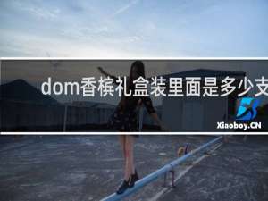 dom香槟礼盒装里面是多少支