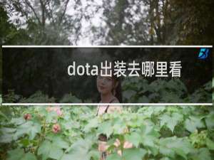dota出装去哪里看