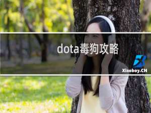 dota毒狗攻略