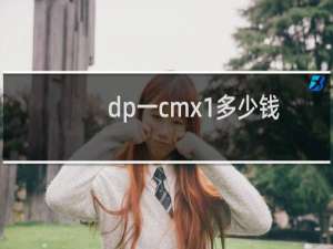 dp一cmx1多少钱