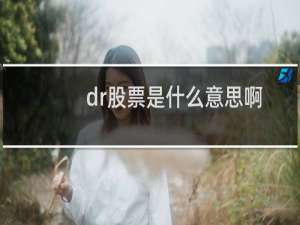 dr股票是什么意思啊