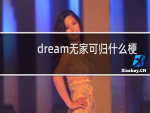 dream无家可归什么梗