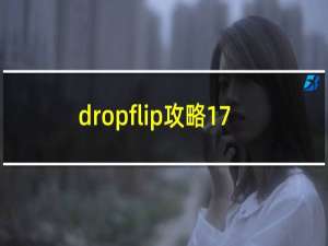 dropflip攻略17