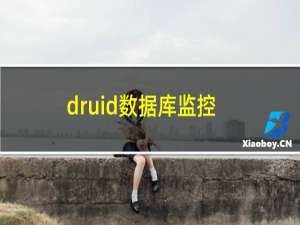 druid数据库监控