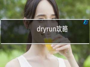 dryrun攻略