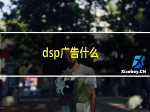 dsp广告什么