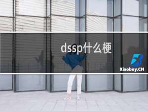 dssp什么梗