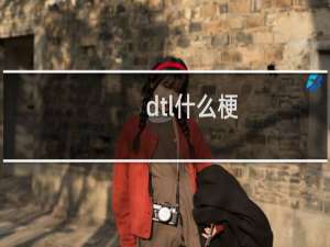 dtl什么梗