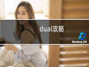dual攻略