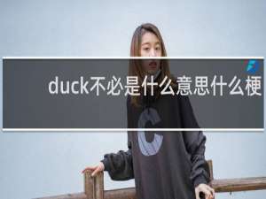 duck不必是什么意思什么梗