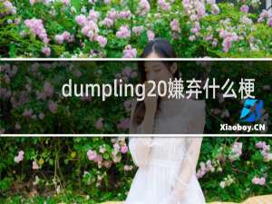 dumpling 嫌弃什么梗