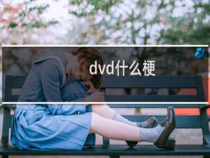 dvd什么梗