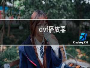 dvf播放器