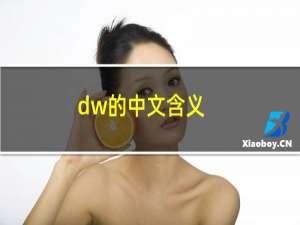 dw的中文含义（dw中文含义是什么意思）