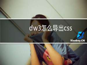 dw3怎么导出css