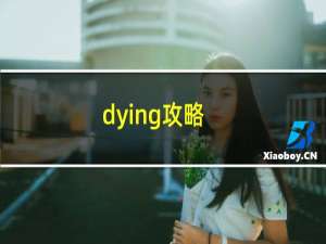dying攻略