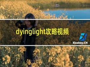 dyinglight攻略视频