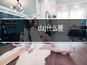 dzj什么梗