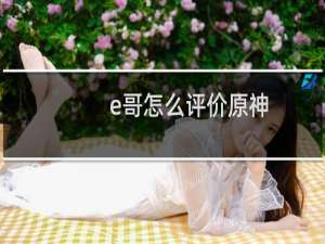 e哥怎么评价原神