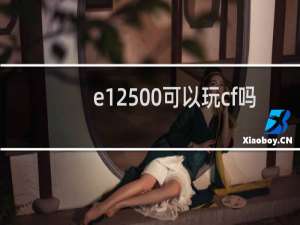 e12500可以玩cf吗