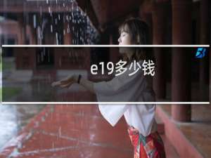 e19多少钱