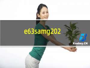 e63samg2021款（e680i）