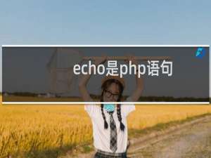 echo是php语句