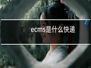 ecms是什么快递