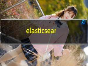 elasticsearch集群监控