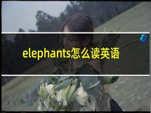 elephants怎么读英语