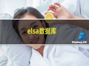 elsa数据库