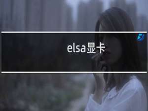 elsa显卡