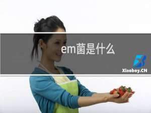 em菌是什么