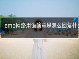 emo网络用语啥意思怎么回复什么梗