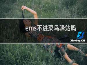 ems不进菜鸟驿站吗