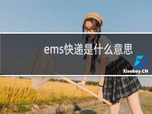 ems快递是什么意思