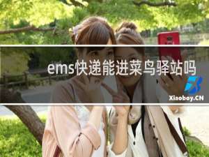ems快递能进菜鸟驿站吗
