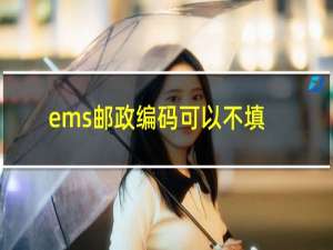 ems邮政编码可以不填吗