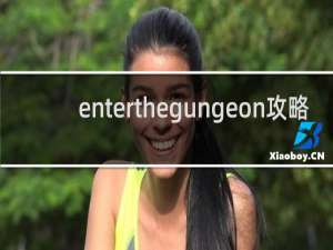 enterthegungeon攻略