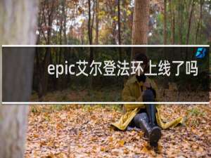epic艾尔登法环上线了吗
